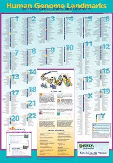 genome poster