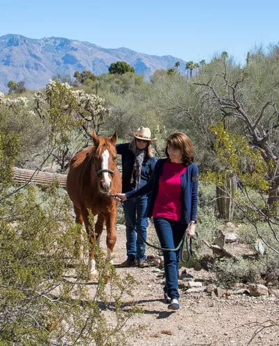 Equine assisted therapy on Cottonwood Tucson desert trail