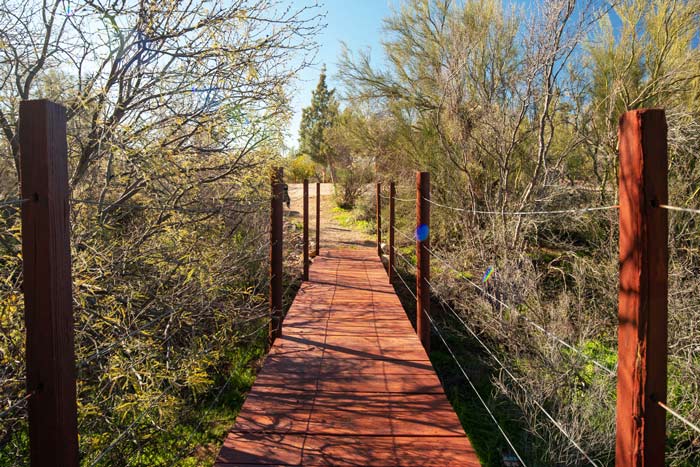 red wooden bridge on nature trail - Cottonwood Tucson behavioral health and addiction treatment