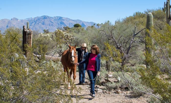 two women walking on desert path with one horse - Cottonwood Tucson holistic treatment for mood disorders and addiction