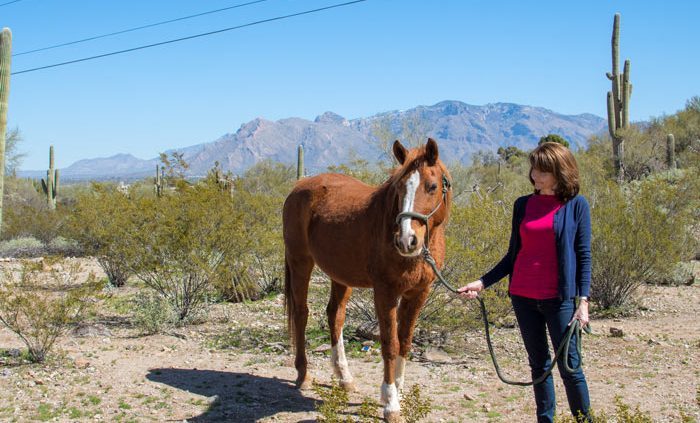woman standing next to brown and white horse in desert - Cottonwood Tucson holistic treatment for mood disorders and addiction