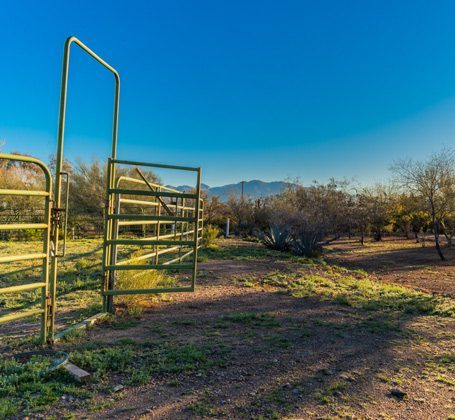 blue skies and metal gate - horse pen