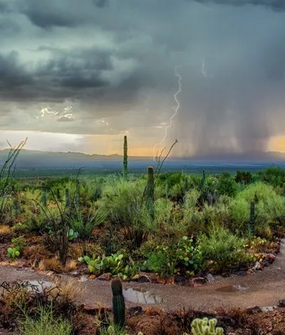 Arizona desert thunderstorm - exercise addiction