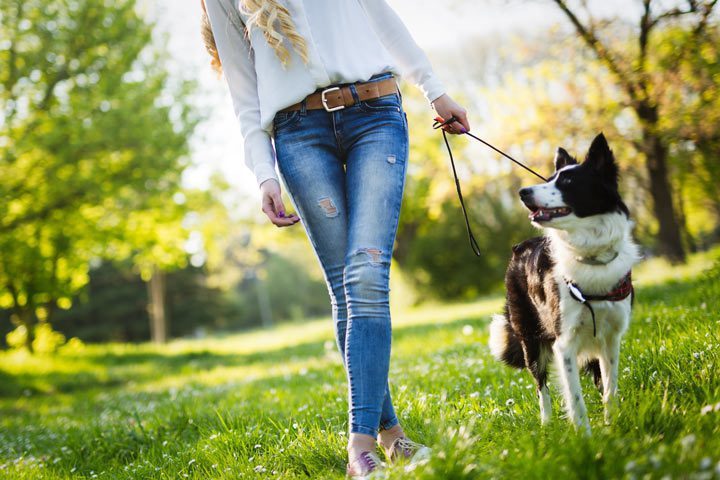 cropped shot of young woman walking her dog outdoors - nature