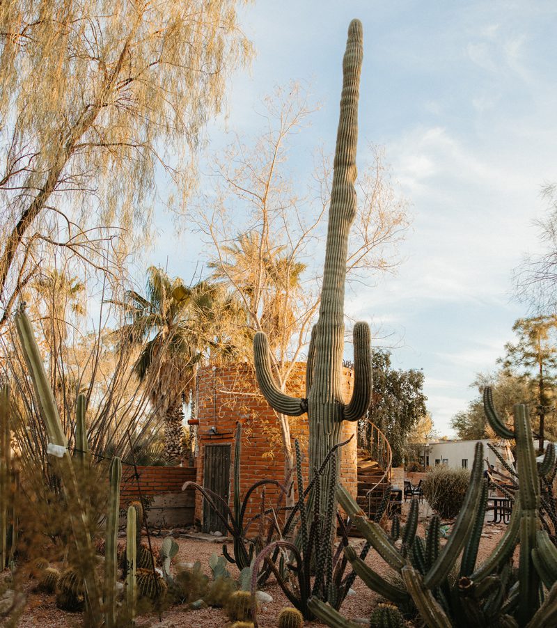 cottonwood de tucson - tucson drug and alcohol rehab and mental health treatment center - arizona addiction treatment center