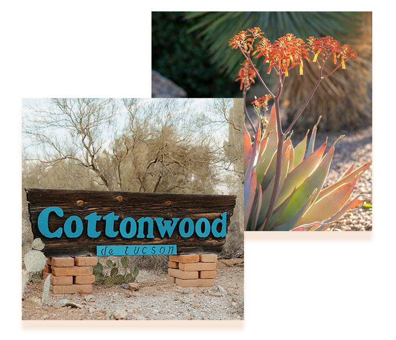 cottonwood de tucson - Tucson, Arizona drug and alcohol rehab and mental health treatment center - arizona addiction treatment center